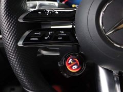 Mercedes-Benz AMG GT AMG GT 50 4MATIC China Edition - ფოტო 15