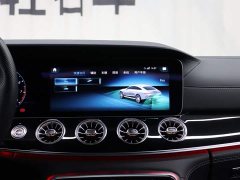 Mercedes-Benz AMG GT AMG GT 50 4MATIC China Edition - ფოტო 17