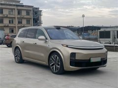 Li Auto L9 Max - ფოტო 3