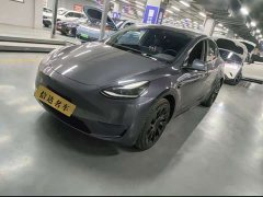 Tesla Model Y Long Range All-Wheel Drive - фото 1