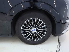 Denza D9 DM-i 980 Four-Wheel Drive Premium - ფოტო 17