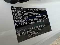 Toyota Sienna 2.5L Hybrid Platinum Edition - ფოტო 6