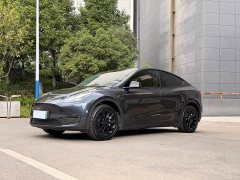 Tesla Model Y Long Range All-Wheel Drive - photo 1