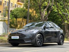 Tesla Model Y Long Range All-Wheel Drive - ფოტო 1