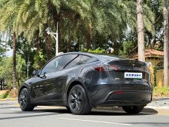 Tesla Model Y Long Range All-Wheel Drive - ფოტო 3