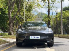 Tesla Model Y Long Range All-Wheel Drive - ფოტო 4