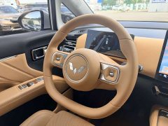 Wuling Starlight 730 New Energy PHEV 125km Luxury - ფოტო 14