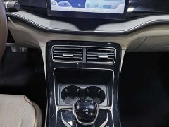 BYD Qin PLUS Champion Edition DM-i 55KM Exceed - ფოტო 6