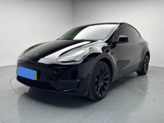 Tesla Model Y Long Range All-Wheel Drive - ფოტო 1