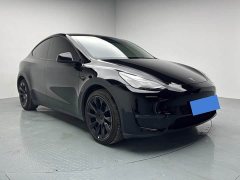 Tesla Model Y Long Range All-Wheel Drive - ფოტო 3