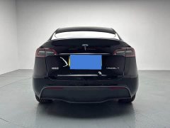 Tesla Model Y Long Range All-Wheel Drive - ფოტო 8