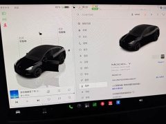 Tesla Model Y Long Range All-Wheel Drive - ფოტო 9
