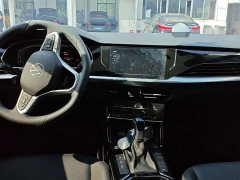 Volkswagen Passat Outstanding Edition 380TSI Starry Sky Dragon Ascendant Version - ფოტო 6