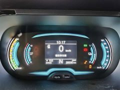 Chery Ant Sweet Pink Half-Sugar Ternary Lithium 30kW 301km - ფოტო 7