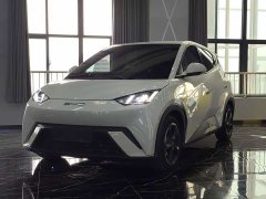 BYD Seagull Glory Edition 305km Freedom Version - ფოტო 1