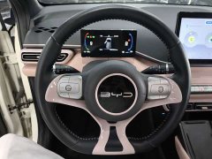BYD Seagull Glory Edition 305km Freedom Version - ფოტო 5
