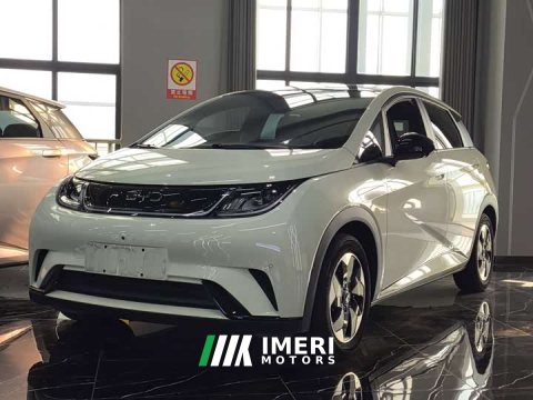 2024 BYD Dolphin 420km Fashion Edition - ავტომობილი ჩინეთიდან