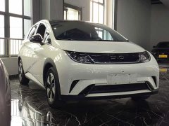 BYD Dolphin 420km Fashion Edition - ფოტო 3