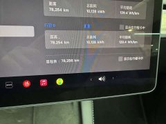 Tesla Model Y Rear-Wheel Drive - ფოტო 17