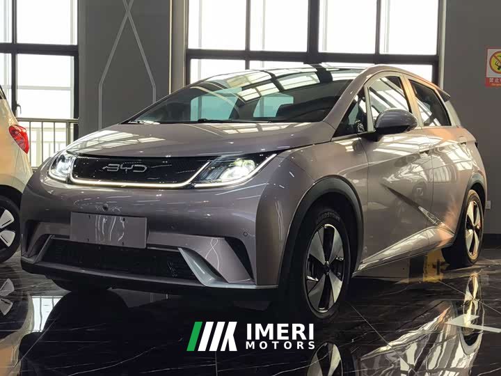 BYD Dolphin 420km Fashion Edition - ავტომობილი ჩინეთიდან