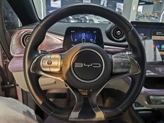BYD Dolphin 420km Fashion Edition - ფოტო 5