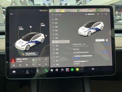 Tesla Model 3 Facelift Standard Range RWD Upgrade 3D1 - ფოტო 19