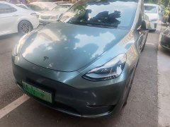 Tesla Model Y Long Range All-Wheel Drive 3D7 - ფოტო 1