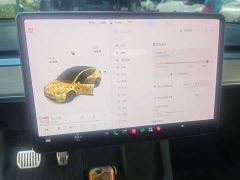 Tesla Model Y Long Range All-Wheel Drive 3D7 - ფოტო 10