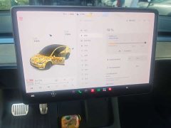 Tesla Model Y Long Range All-Wheel Drive 3D7 - ფოტო 8