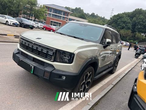 2024 Jetour Jietu Shanhai T1 150km Xianghai - ავტომობილი ჩინეთიდან