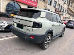 Jetour Jietu Shanhai T1 150km Xianghai - ფოტო 9