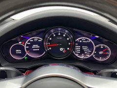 Porsche Cayenne 3.0T Platinum Edition - ფოტო 14