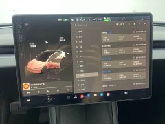 Tesla Model 3 Rear-Wheel Drive - ფოტო 11