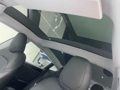Tesla Model 3 Rear-Wheel Drive - ფოტო 14