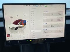 Tesla Model 3 Rear-Wheel Drive - ფოტო 11