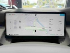 Xpeng P7 Long Range Max - ფოტო 7