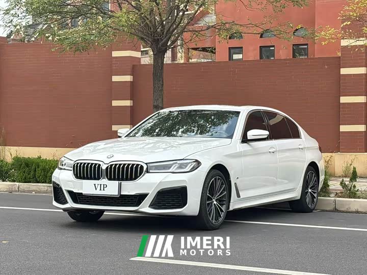 BMW 5 Series 530Li Premier M Sport Package - ავტომობილი ჩინეთიდან