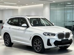 BMW X3 Facelift xDrive25i M Sport Package - ფოტო 3