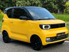 Wuling Hongguang MINIEV Zizai Trim Ternary Lithium Battery - ფოტო 3