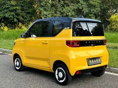 Wuling Hongguang MINIEV Zizai Trim Ternary Lithium Battery - ფოტო 8