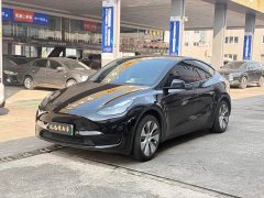 Tesla Model Y Facelift Rear-Wheel Drive - ფოტო 1