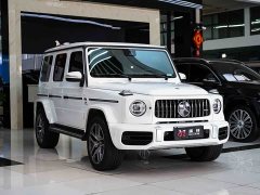 Mercedes-Benz G-Class G 500 - ფოტო 14