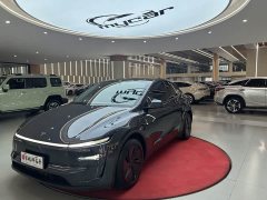 Tesla Model Y Rear-Wheel Drive - ფოტო 1