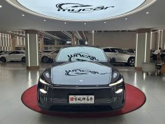 Tesla Model Y Rear-Wheel Drive - ფოტო 2