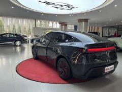 Tesla Model Y Rear-Wheel Drive - ფოტო 7