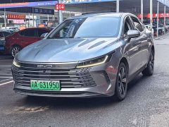 BYD Destroyer 05 Champion Edition DM-i 120KM Luxury - ფოტო 1