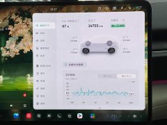 NIO ES6 75kWh - ფოტო 13