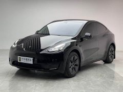 Tesla Model Y Rear-Wheel Drive - ფოტო 1