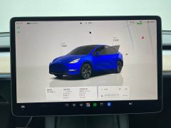 Tesla Model Y Rear-Wheel Drive - ფოტო 11