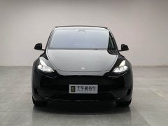 Tesla Model Y Rear-Wheel Drive - ფოტო 2